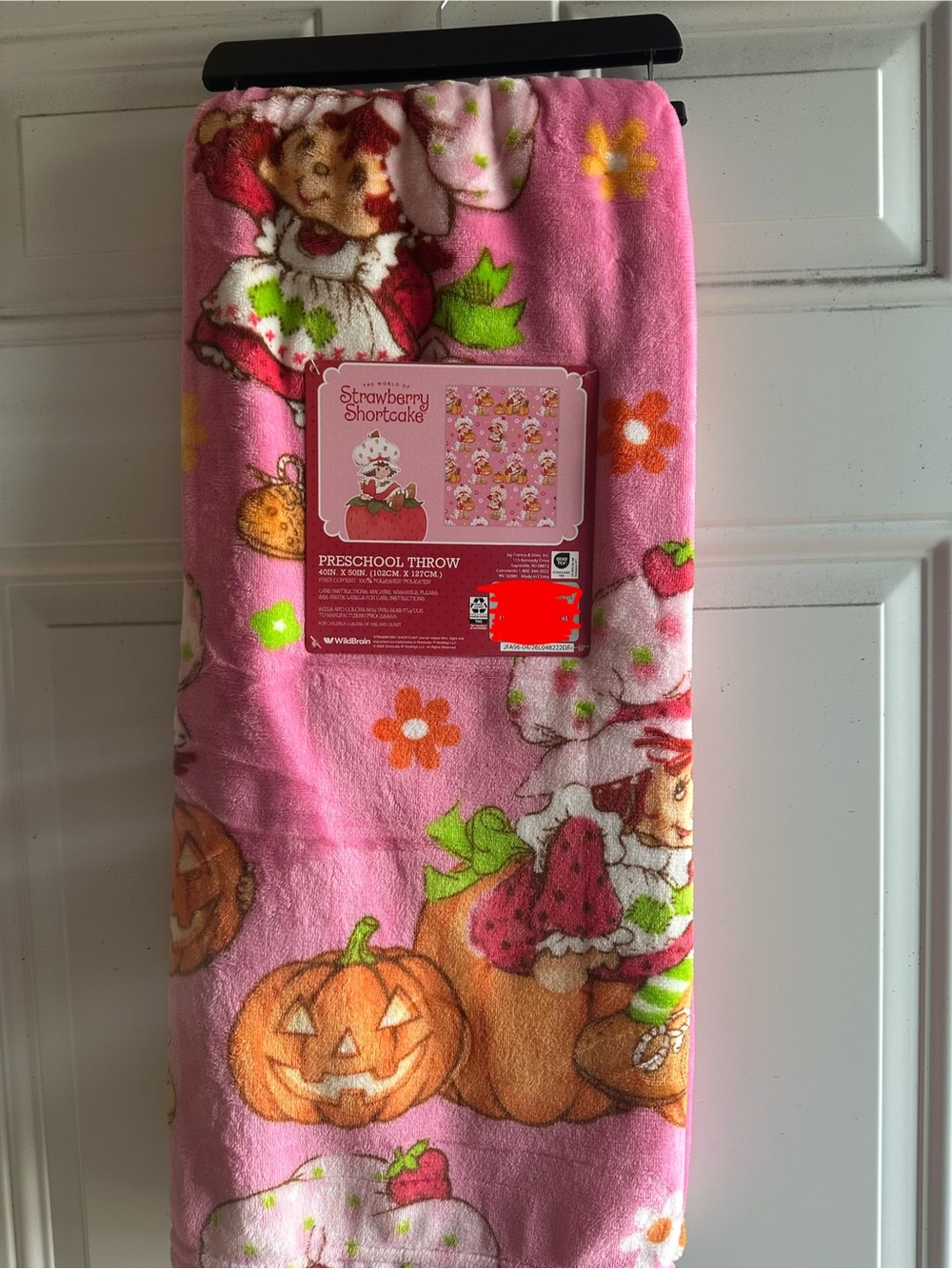 Strawberry Shortcake Pink Kids Preschool Throw Blanket
